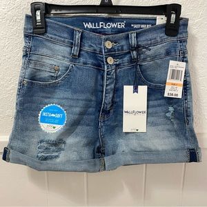 🌟NWT🌟 Wallflower High Rise Shorty Short